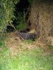 IMG_20180420_222242.jpg