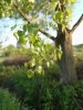 IMG_20180504_191538_STEREO.jpg