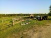 IMG_20180504_191118.jpg
