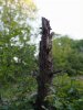 IMG_20180504_200638_STEREO.jpg