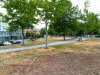 IMG_20190715_135635.jpg