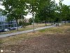 IMG_20190715_101858_7.jpg