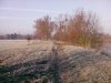 IMG_20111123_092527.jpg