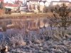 IMG_20111123_092540.jpg