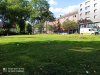 IMG_20200721_182926.jpg