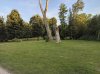 RN8Pro-GCam-5.jpg