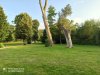 IMG_20200724_194620.jpg