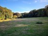 IMG_20200920_173540.jpg