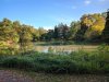 IMG_20200920_174534.jpg