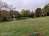 IMG_20201017_163313.jpg