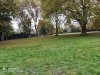 IMG_20201017_163917.jpg