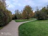 IMG_20201017_173004.jpg