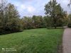 IMG_20201017_173259.jpg