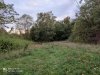 IMG_20201017_173422.jpg