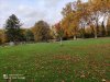 IMG_20201024_152813.jpg