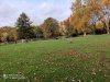 IMG_20201024_152835.jpg