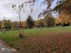 IMG_20201024_152857.jpg