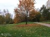 IMG_20201024_162038.jpg