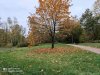 IMG_20201024_162044.jpg