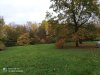IMG_20201024_162239.jpg