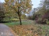 IMG_20201024_162339.jpg