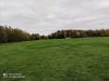 IMG_20201024_162711.jpg
