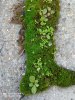 IMG_20201118_144654.jpg