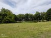 IMG_20210619_151230.jpg