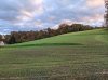 PXL_20211101_163718231.jpg