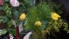 IMG_20131212_103048.jpg