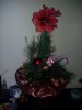 IMG_20131214_233319.jpg