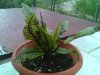 IMG_20140428_171606.jpg