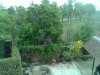 IMG_20140428_171546.jpg