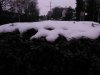 IMG_20141231_104323.jpg