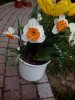 IMG_20150509_174609.jpg