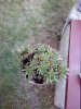 IMG_20150509_174843.jpg