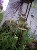 IMG_20150509_174956.jpg