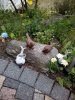 IMG_20150509_175327.jpg