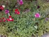 IMG_20150509_175421.jpg