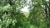 IMG_20150511_120748.jpg