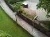 IMG_20150504_152007.jpg