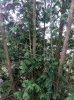 P50804-182949.jpg