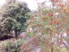 CAM_0008.jpg