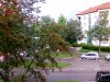 CAM_0011.jpg