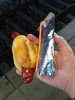 IMG_20160708_163034_1.jpg