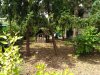 IMG_20160708_172549.jpg