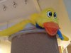 IMG_20160708_221728.jpg