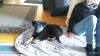 IMG_20161127_140148_BURST4.jpg