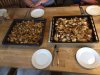 IMG-20170613-WA0001.jpg