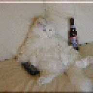 Demon